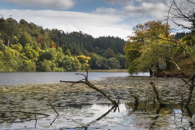 Aros Park loch