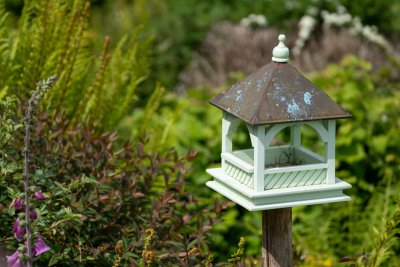 Enjoy an abundance of birds visiting the garden