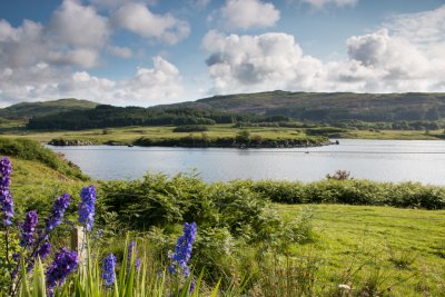 Loch Cuin