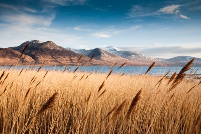 Ben More in autumn colours