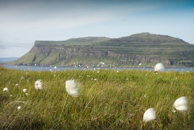 Enjoy sweeping views over to Ardmeanach