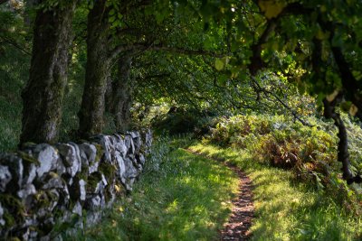 The beautiful footpath between the trees connecting Carsaig beach and pier