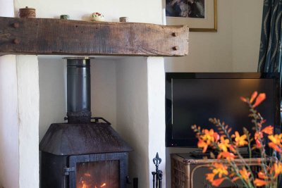 Wood burning stove 