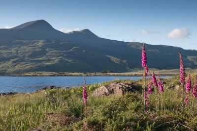 Ben More by Loch Scridain