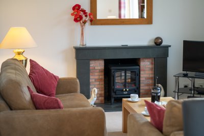 The flame effect electric fire adds ambiance