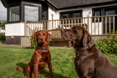 Cuin Beag is pet friendly too!