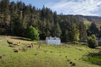 Abundant wildlife around the cottages