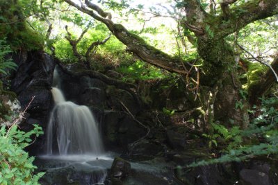 Waterfall near to the lodge