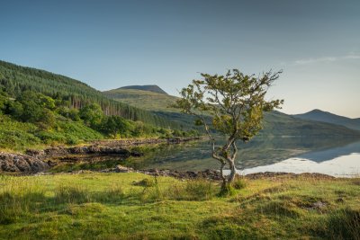 Wonderful views locally in every direction, including across to Ben More