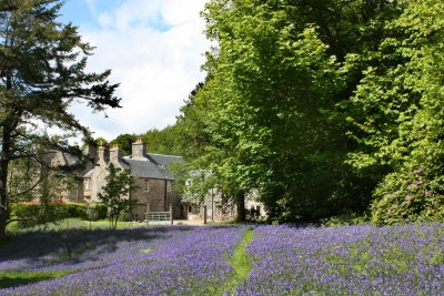 Woodland path leading to house