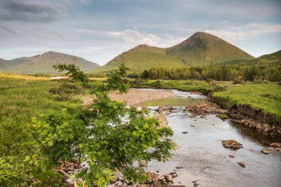 Excellent walks locally through Glen Forsa