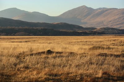 Beautiful grasslands of Grasspoint