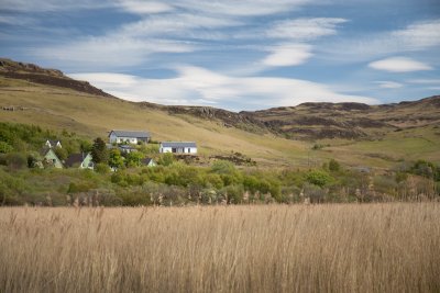 Grasslands in the glen