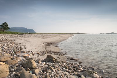 Walk the coastline and look for wildlife