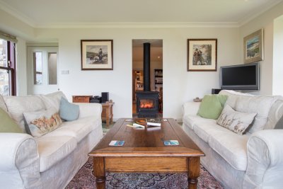 Living room with wood burning stove and paintings