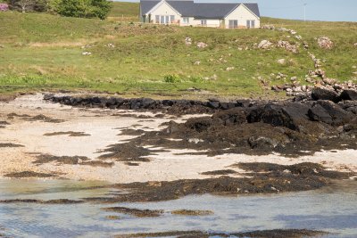 Lochside and the coast