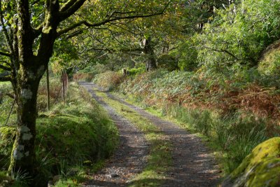 The last leg of your journey is along gravel estate tracks