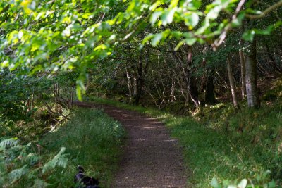 Gorgeous walks from the door on the Quinish Estate