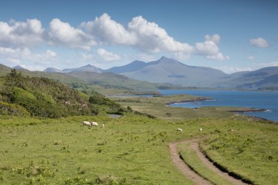 Explore the stunning landscapes and hills around the cottage.