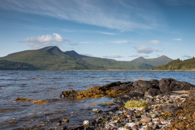 Shoreline directly opposite the cottage