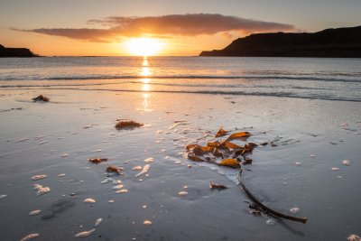 Enjoy sunset strolls on Calgary beach