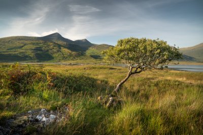 Dramatic scenery on land and sea surrounding the cottage