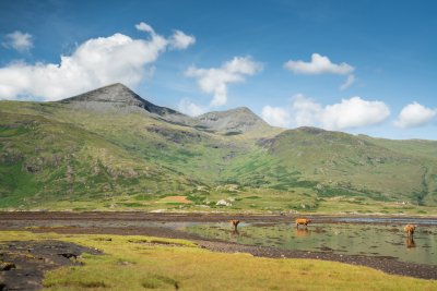 Enjoy superb vistas looking across the loch to the island's highest mountain