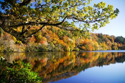 Aros Park in autumn colours, a glorious season in which to visit