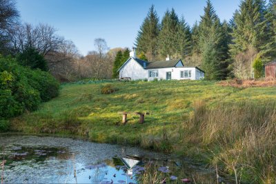 Pond and seating ares in Wood cottage's garden