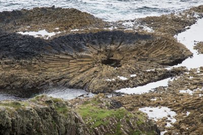 Dramatic fossils appear in the rock close to McCulloch's Fossil Tree