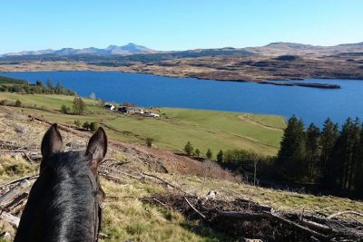 Eilean Equestrian Trail Rides