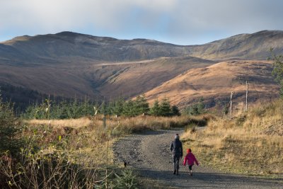 Scallastle Forest walk