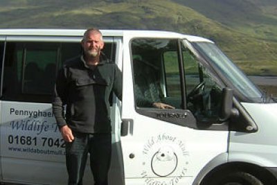 Wildlife Tours on the Isle of Mull