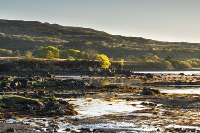 Loch Cuin is home to a wealth of wildlife on its tidal shores