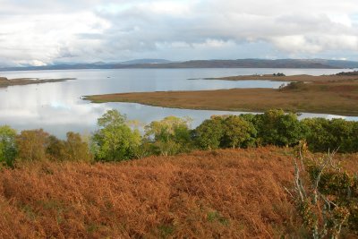 Grasspoint and woodland in the autumn