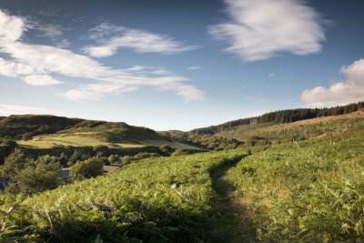 Path directly opposite the cottage leading to Quinish estate