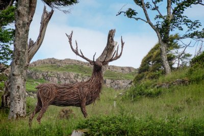 A fantastic Art in Nature sculpture trail leads down to the sea