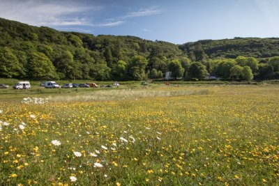 Wild camping area near Calgary Bay Cottage