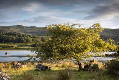 Loch Cuin late in the evening