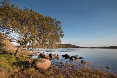 The shore of Loch Pottie