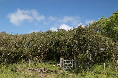 Gate leading to countryside