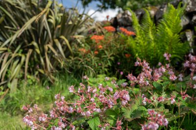 Beautiful gardens at Geat nan Croisean