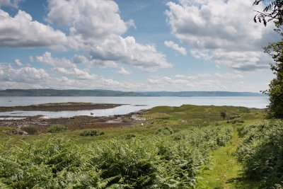 A track leads from house to the shore