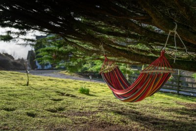 Kick back in the hammock and enjoy lazy days in the garden as you scan the skies for eagles