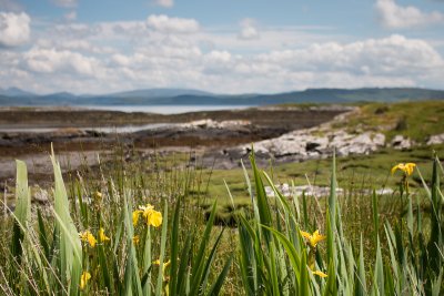 Unspoilt coastline to explore