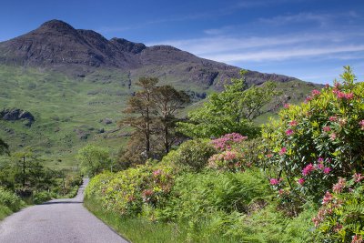 The single-track road that leads to Lochbuie