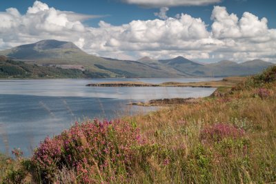 Loch Scridain and views to Ben More