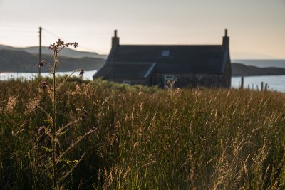 Shore Croft and the surrounding grasslands