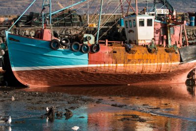 Fishing boats by Tobermory pier