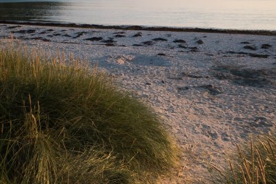 Calgary beach